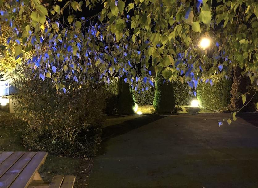 Dış görünüm Fotoğraf