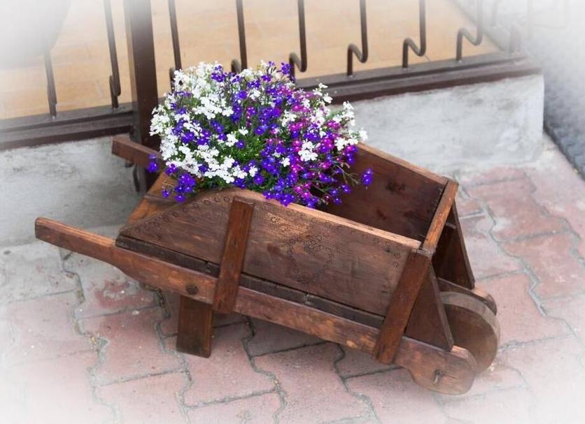 Diğer Fotoğraf