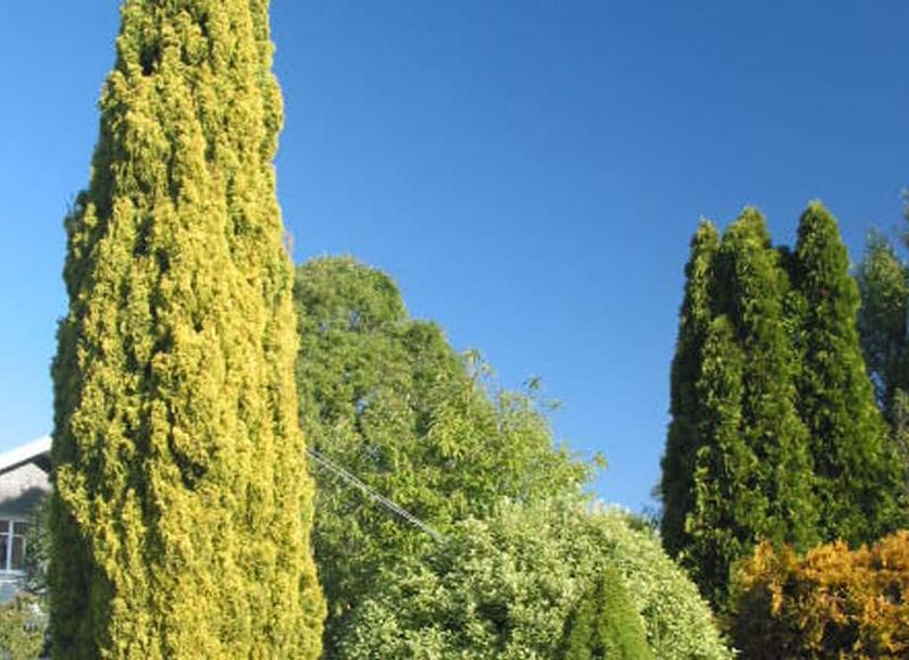 Dış görünüm Fotoğraf