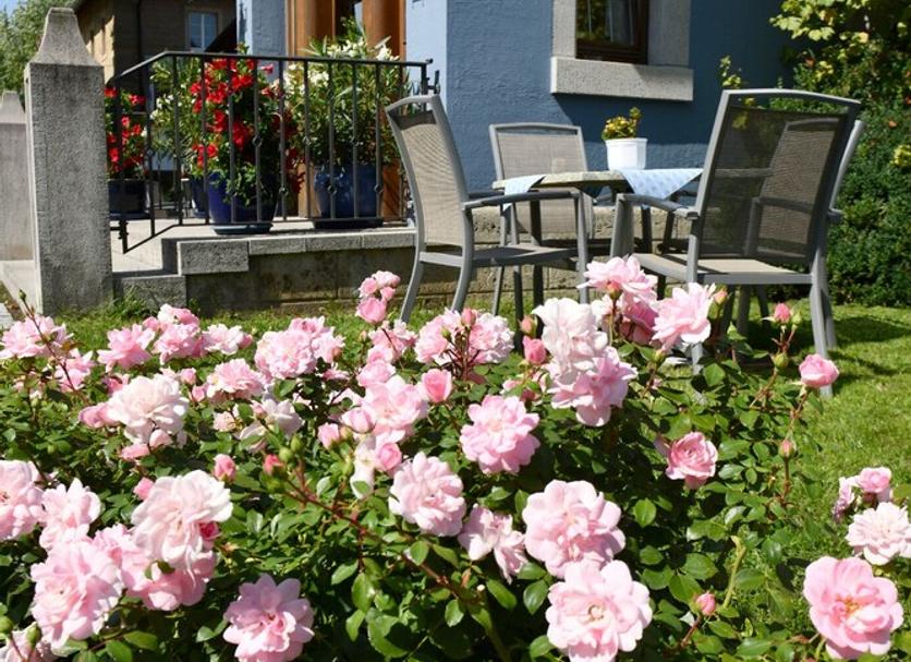 Veranda Fotoğraf