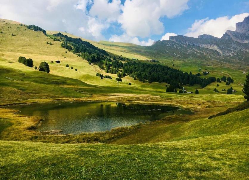 Diğer Fotoğraf