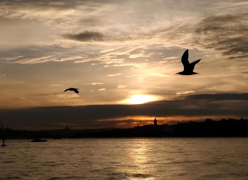 Dış görünüm Fotoğraf