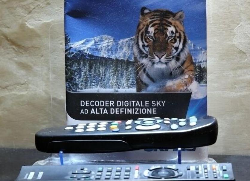 Diğer Fotoğraf