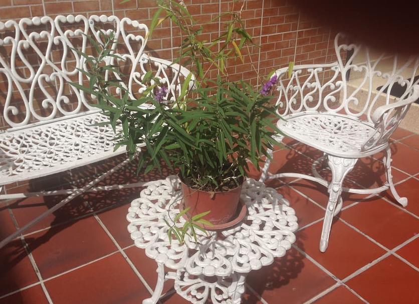 Diğer Fotoğraf
