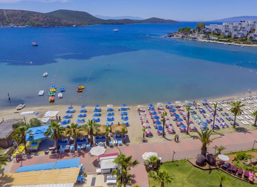 Diğer Fotoğraf