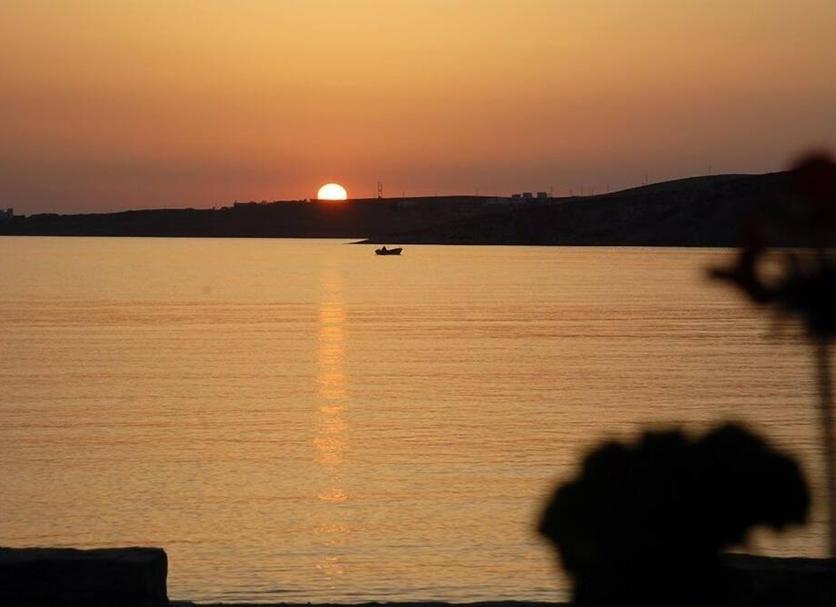 Diğer Fotoğraf