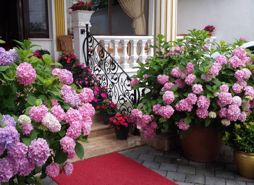 Dış görünüm Fotoğraf