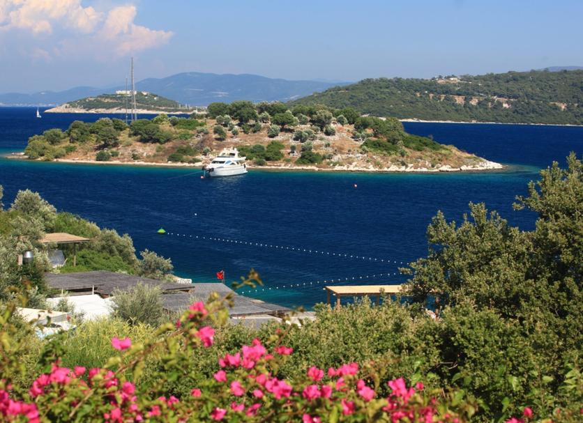 Plaj Fotoğraf