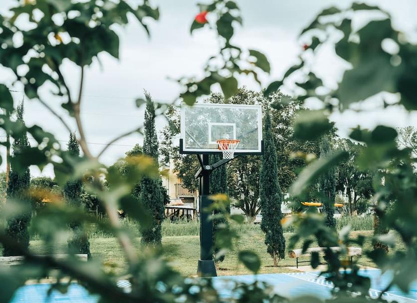 Diğer Fotoğraf