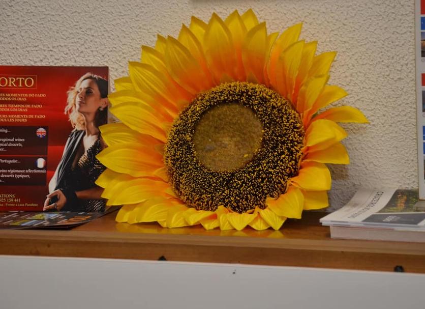 Diğer Fotoğraf