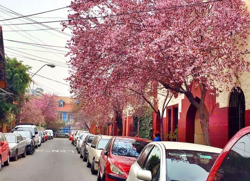 Diğer Fotoğraf