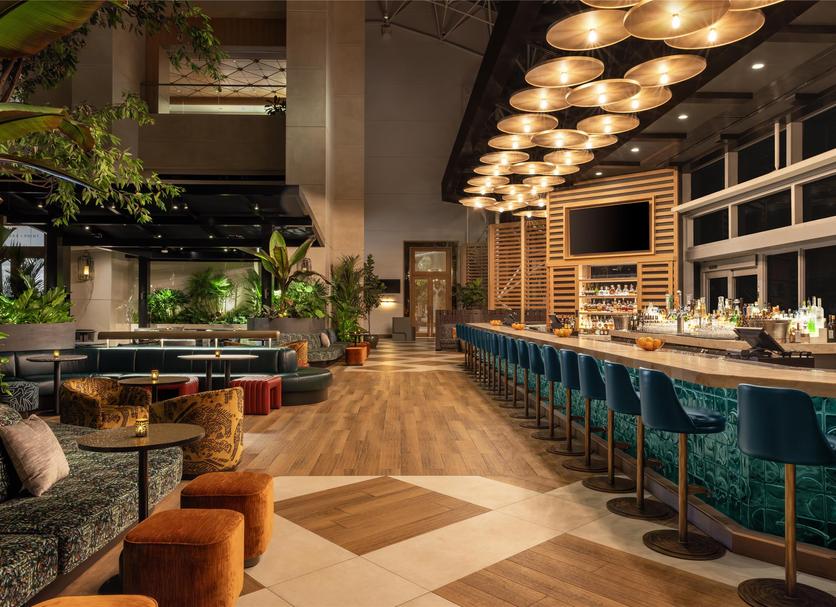 Bar Fotoğraf