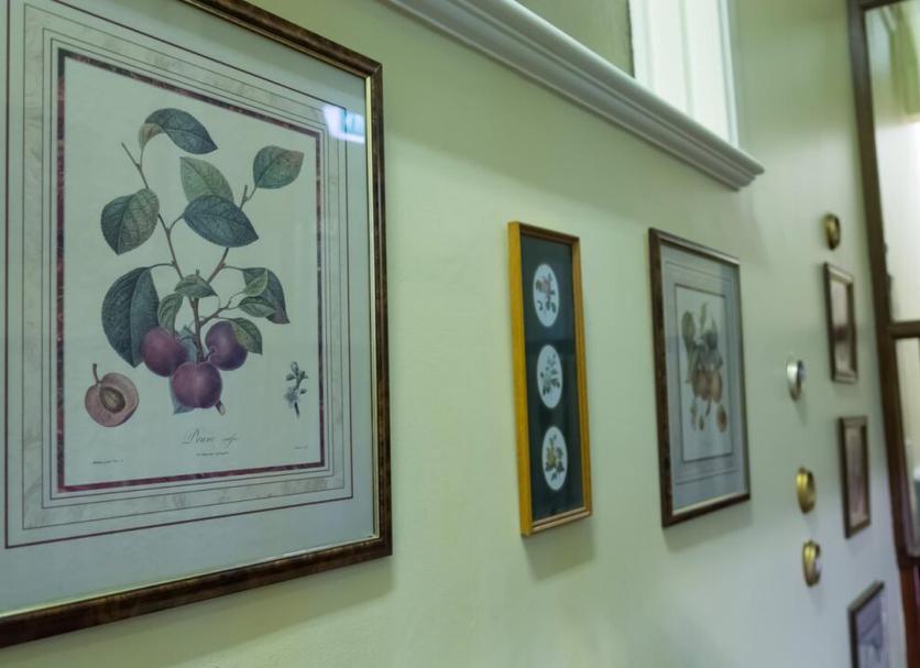 Oda olanağı Fotoğraf