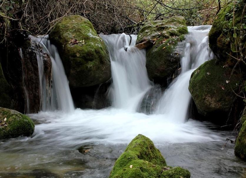 Diğer Fotoğraf