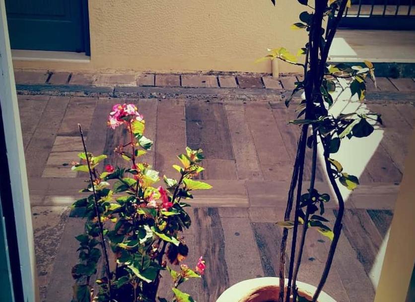 Dış görünüm Fotoğraf