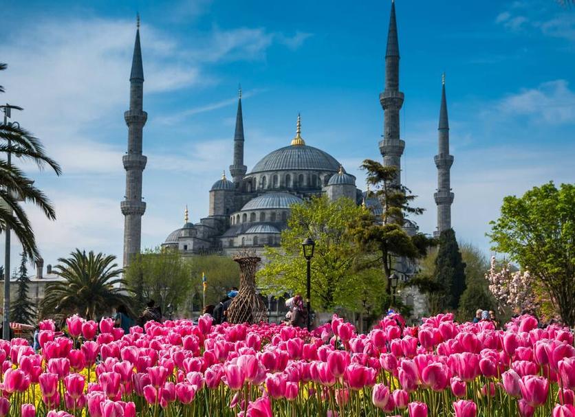 Diğer Fotoğraf