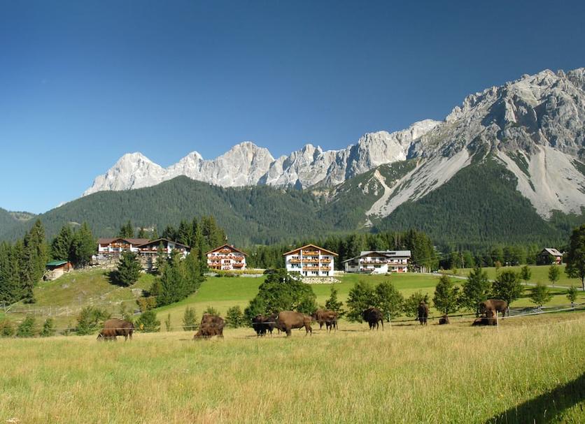 Dış görünüm Fotoğraf
