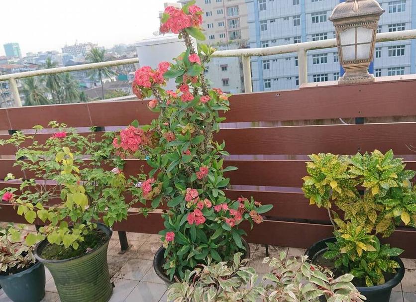 Balkon Fotoğraf