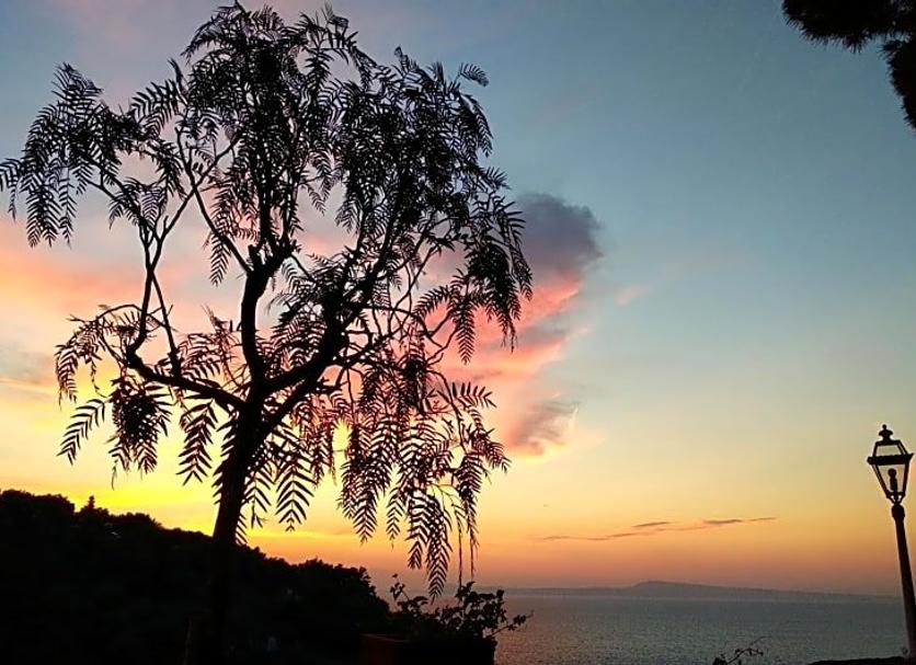 Dış görünüm Fotoğraf