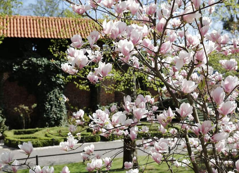 Dış görünüm Fotoğraf