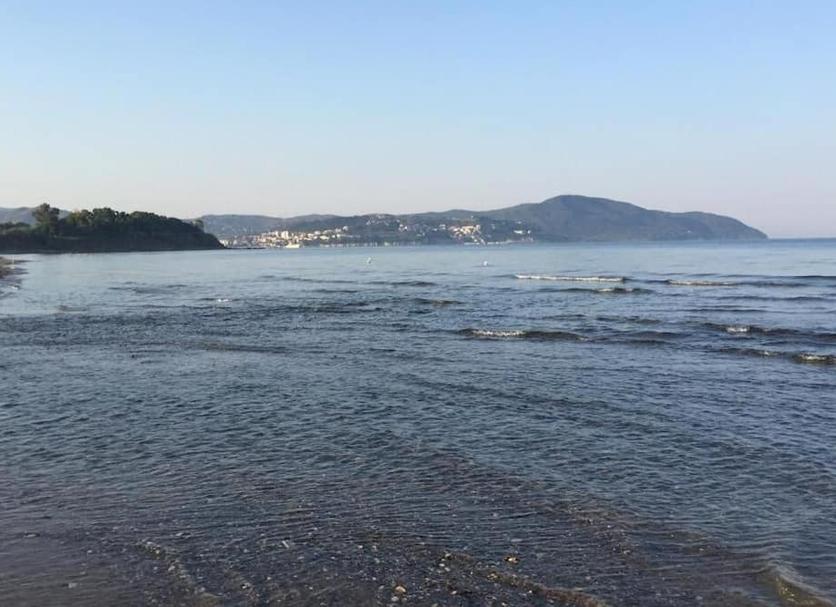 Diğer Fotoğraf