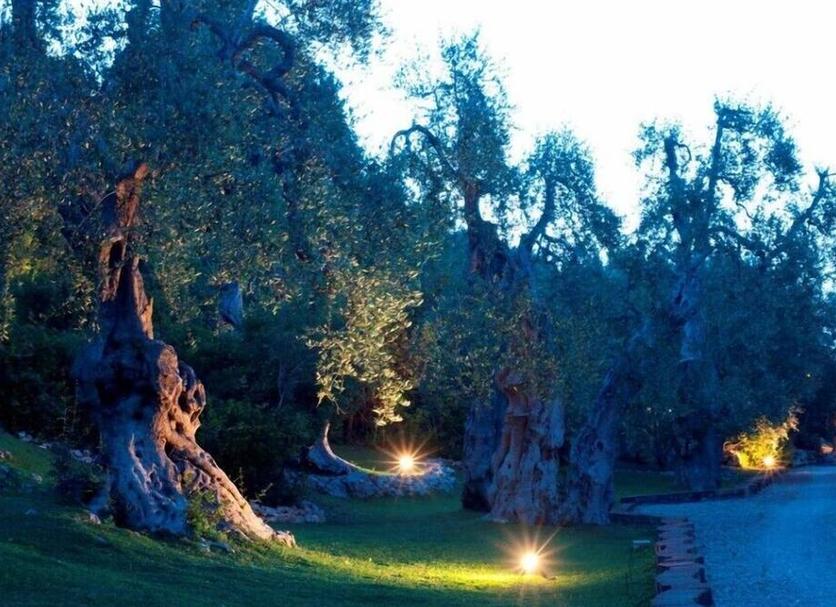 Dış görünüm Fotoğraf