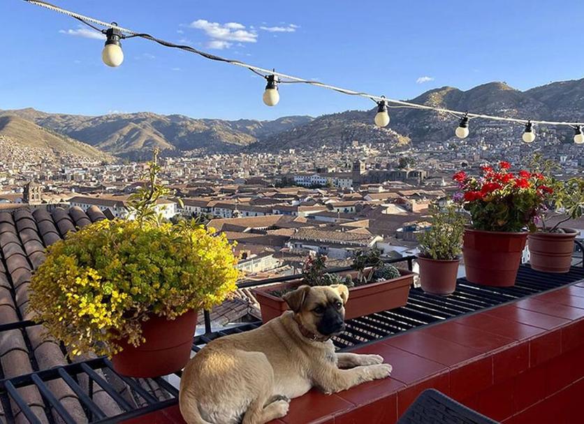 Veranda Fotoğraf