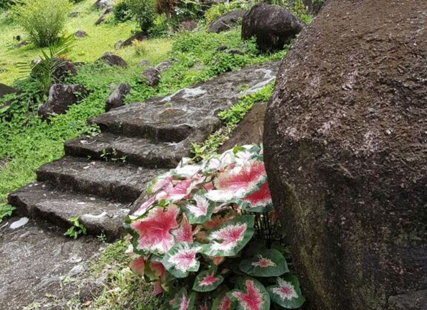 Dış görünüm Fotoğraf