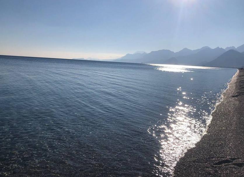 Diğer Fotoğraf