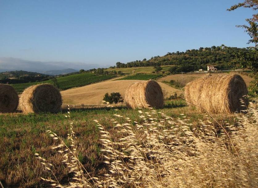 Dış görünüm Fotoğraf