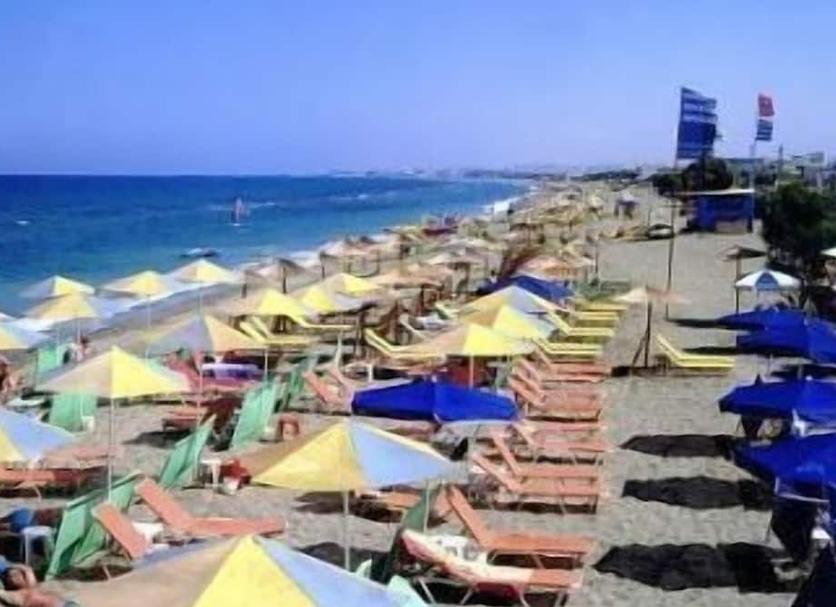 Diğer Fotoğraf