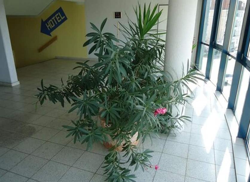 Diğer Fotoğraf