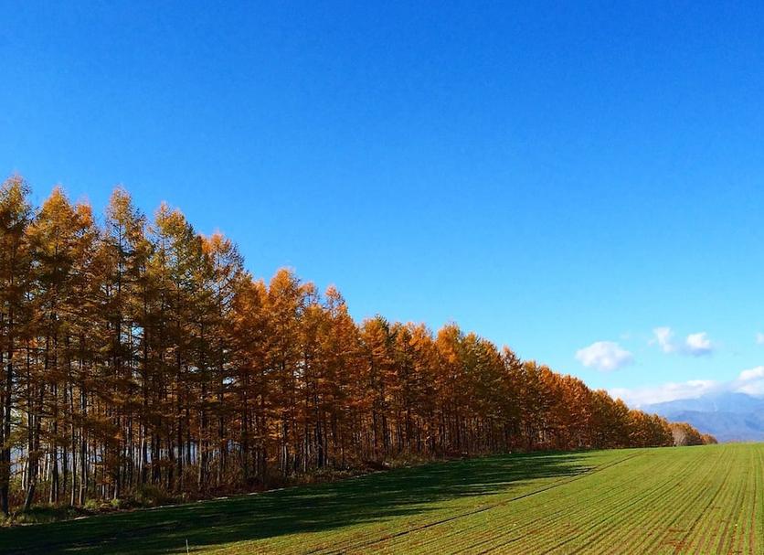 Dış görünüm Fotoğraf
