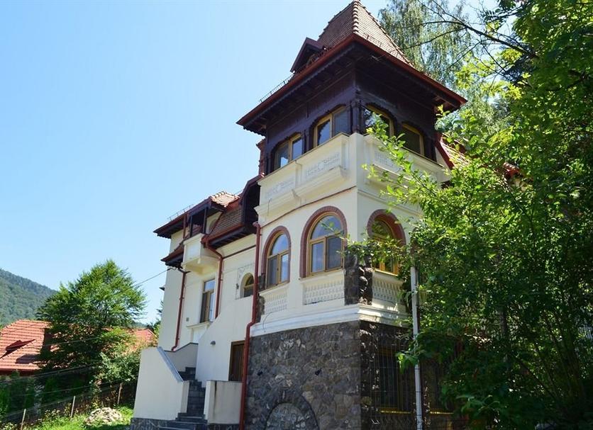 Diğer Fotoğraf