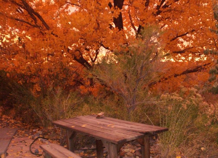 Dış görünüm Fotoğraf