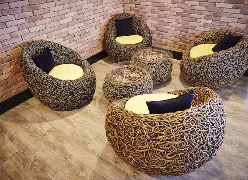 Salon Fotoğraf