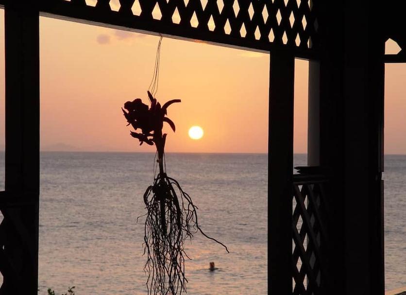 Dış görünüm Fotoğraf