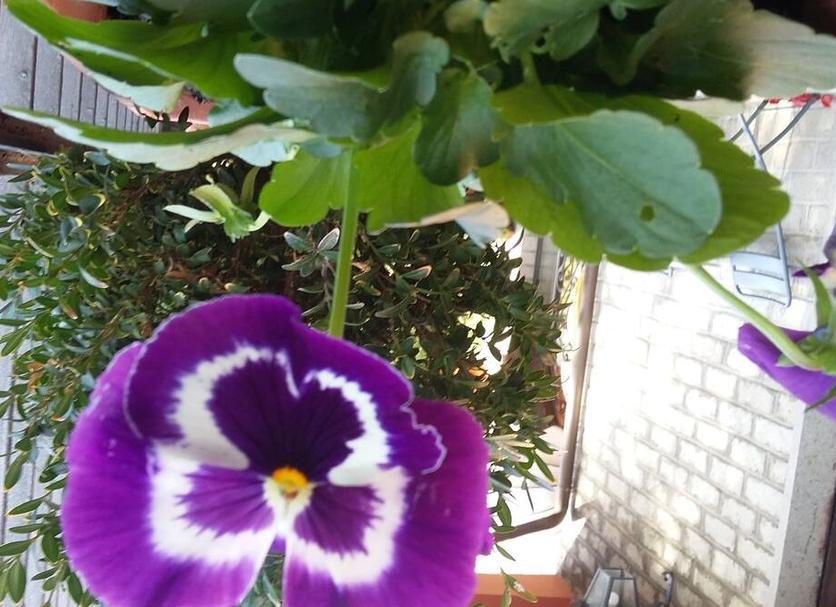 Dış görünüm Fotoğraf