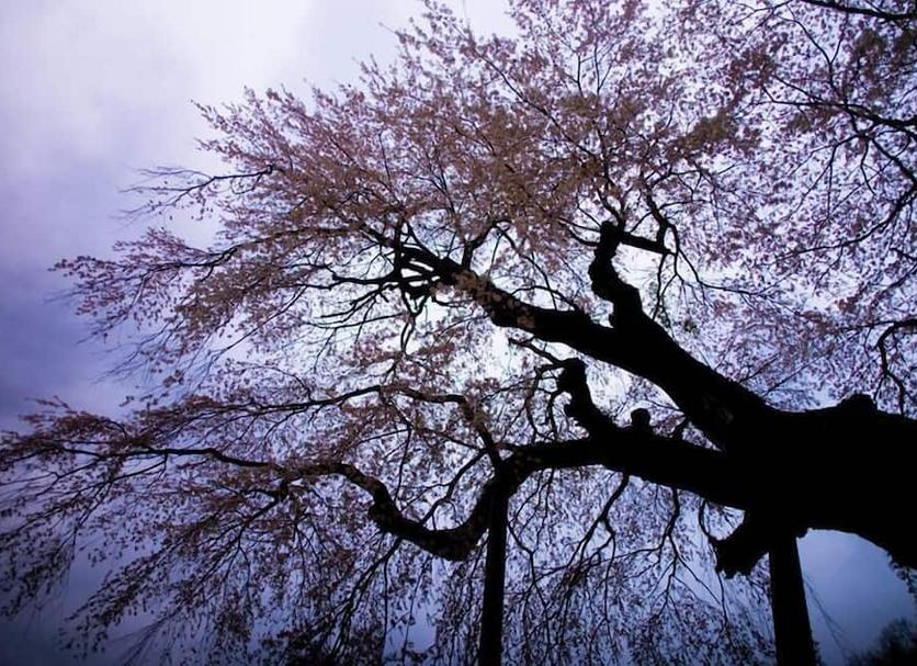 Dış görünüm Fotoğraf