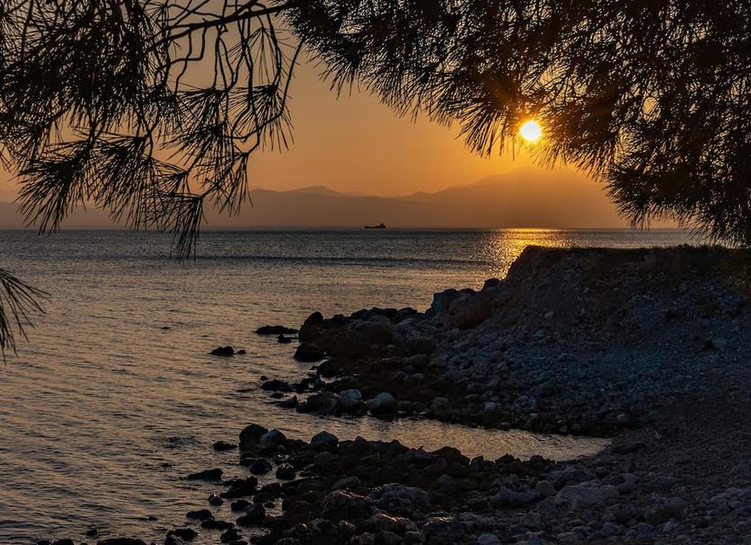 Diğer Fotoğraf