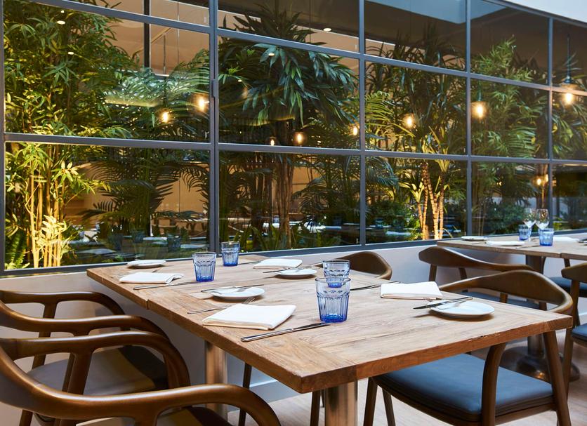 Restoran Fotoğraf