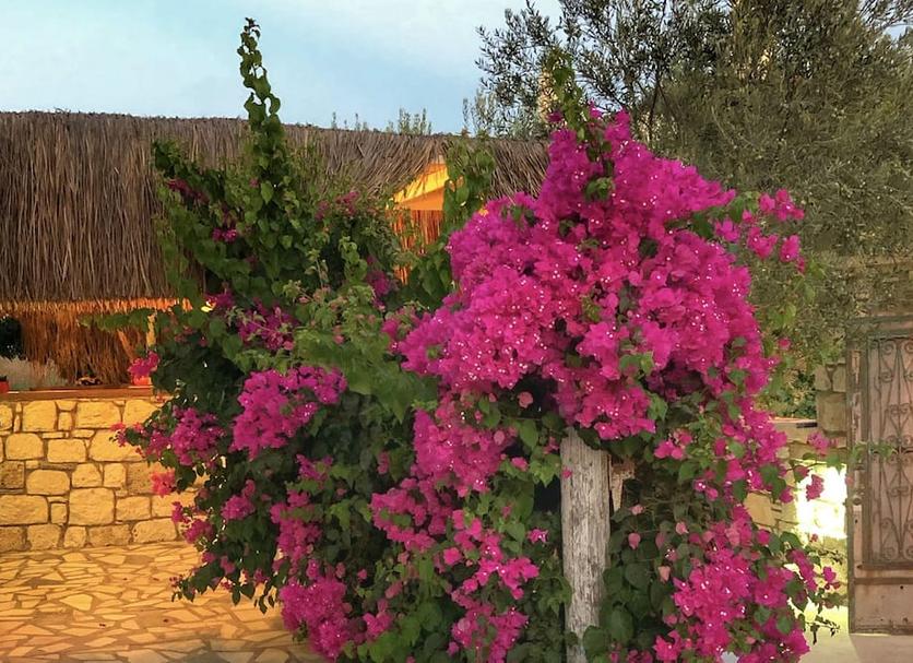 Dış görünüm Fotoğraf