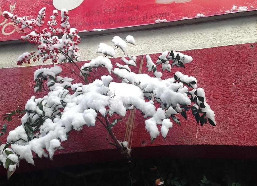 Bina Fotoğraf