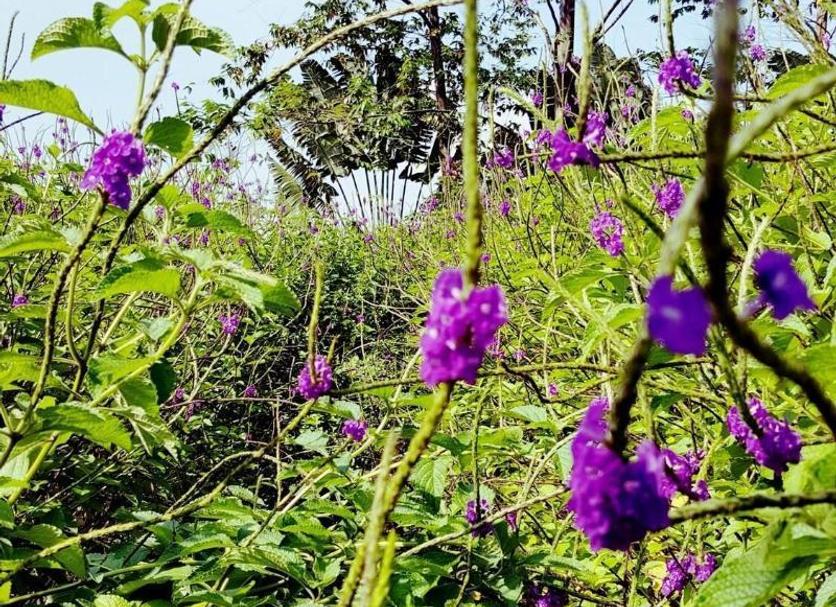 Dış görünüm Fotoğraf