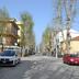 Dış görünüm