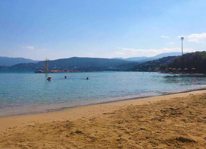 Diğer Fotoğraf
