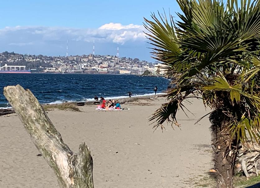 Plaj Fotoğraf