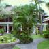 Dış görünüm
