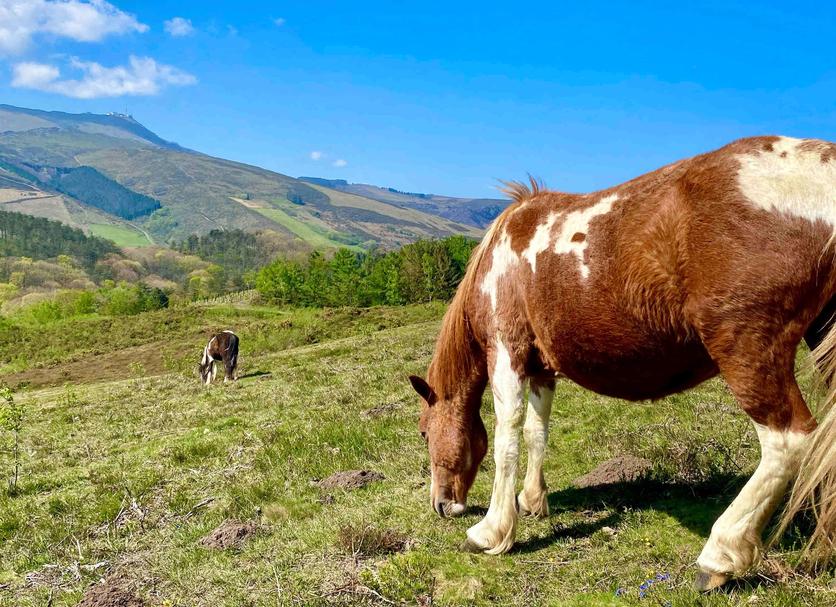 Diğer Fotoğraf