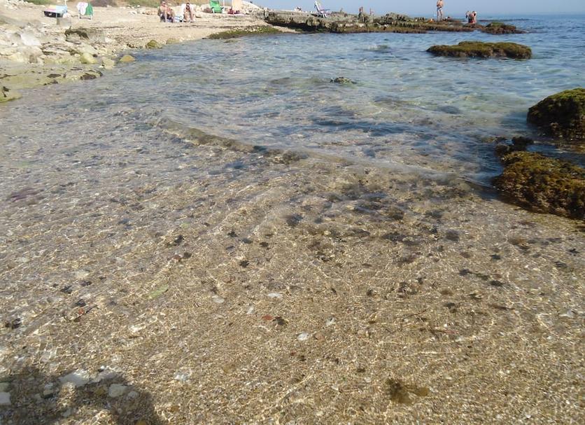Diğer Fotoğraf